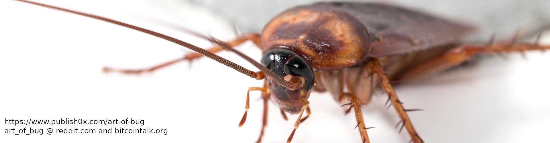 art_of_bug