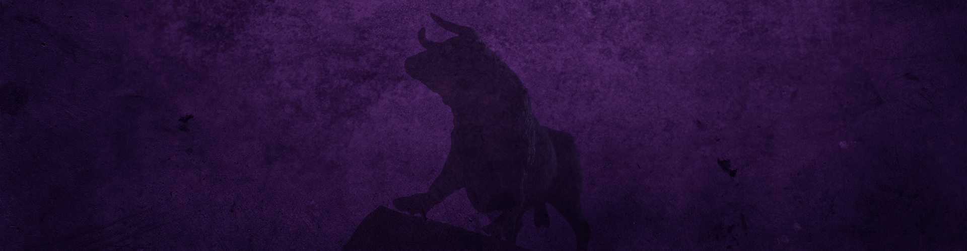 TheWiseBull Blog