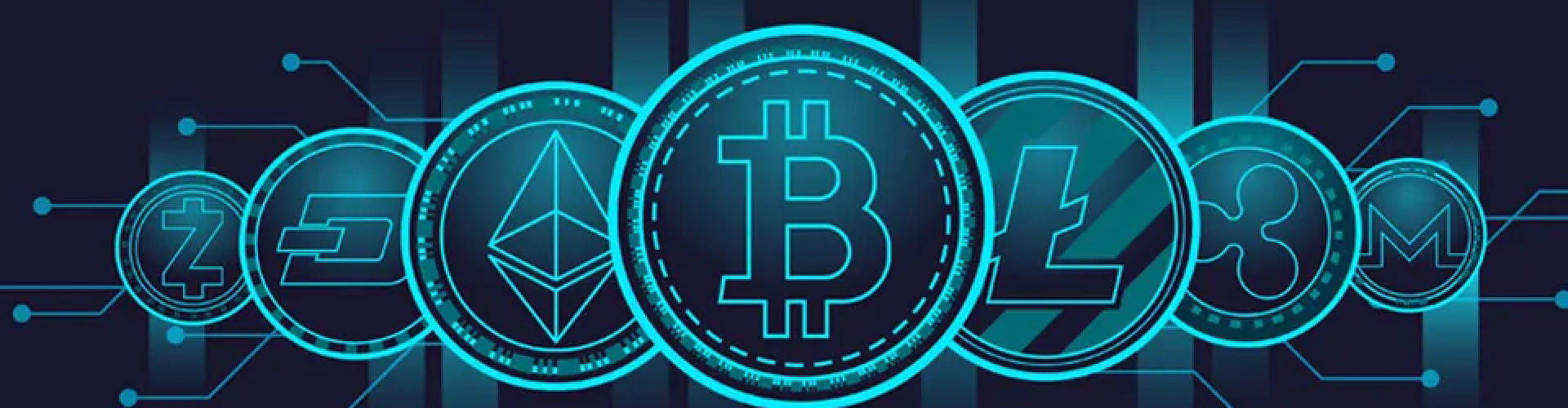 Crypto Bounty Hunter