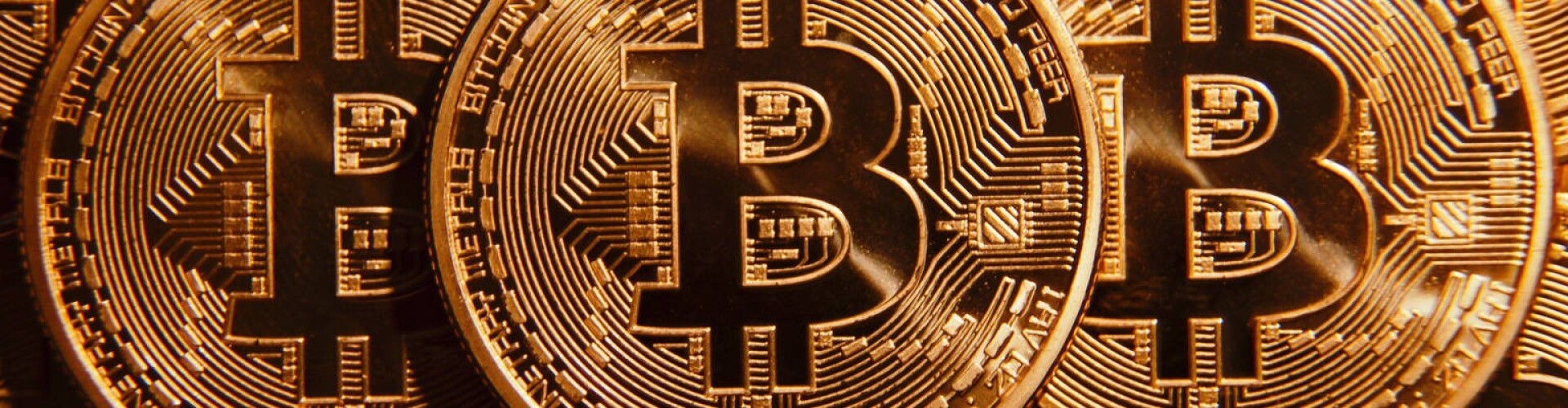 Diary of a Bitcoin Maxi