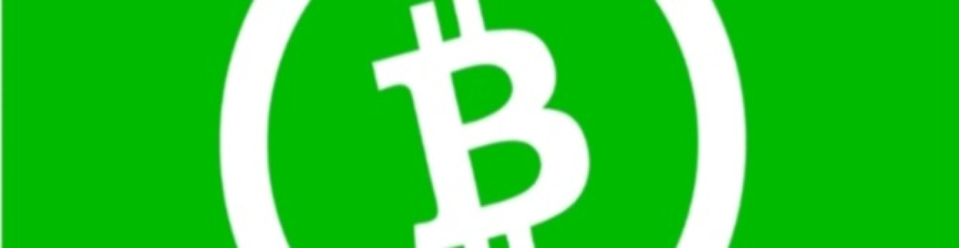 Multi Business with Bitcoin Cash