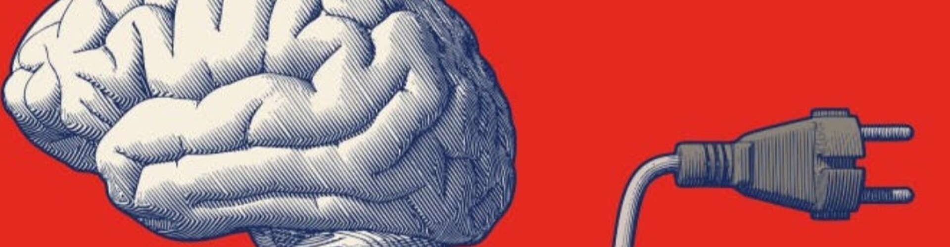 What is on the brain.