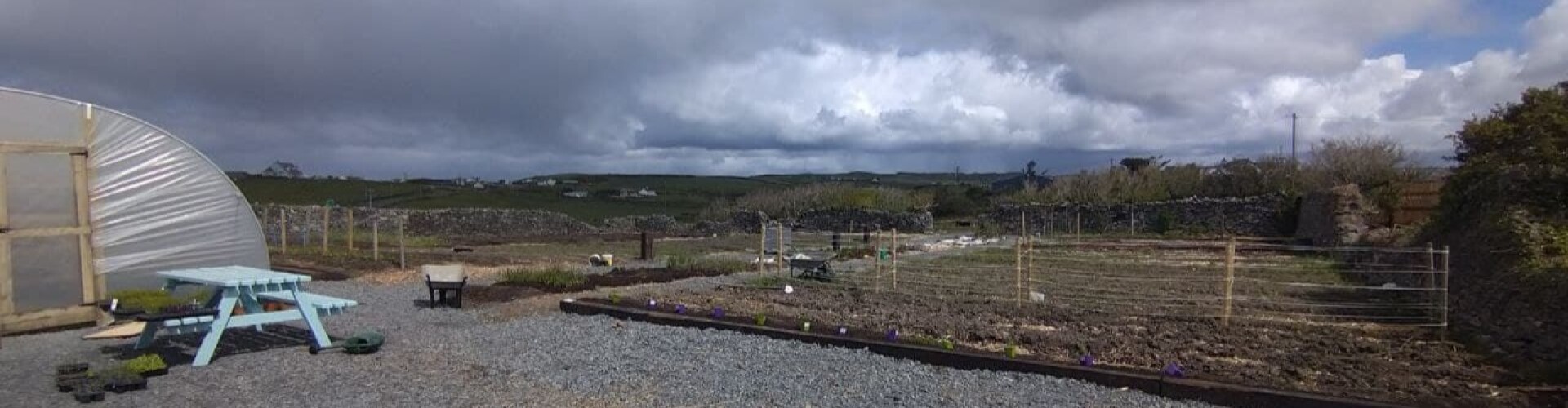 Growing Our Own