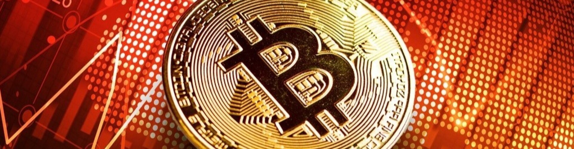 My Journey as a Crypto Lover