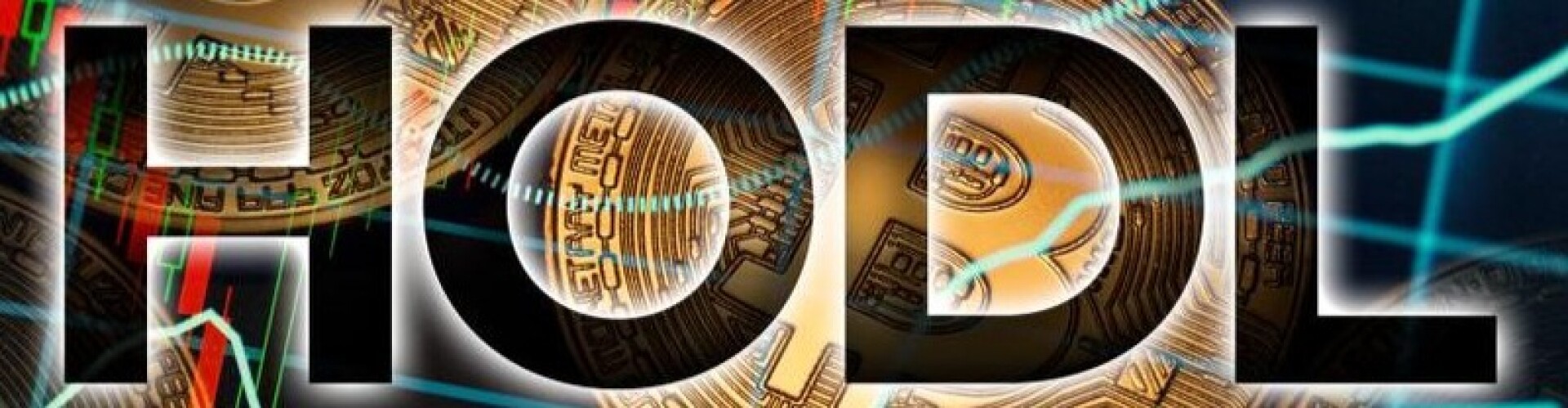 HODL Movement