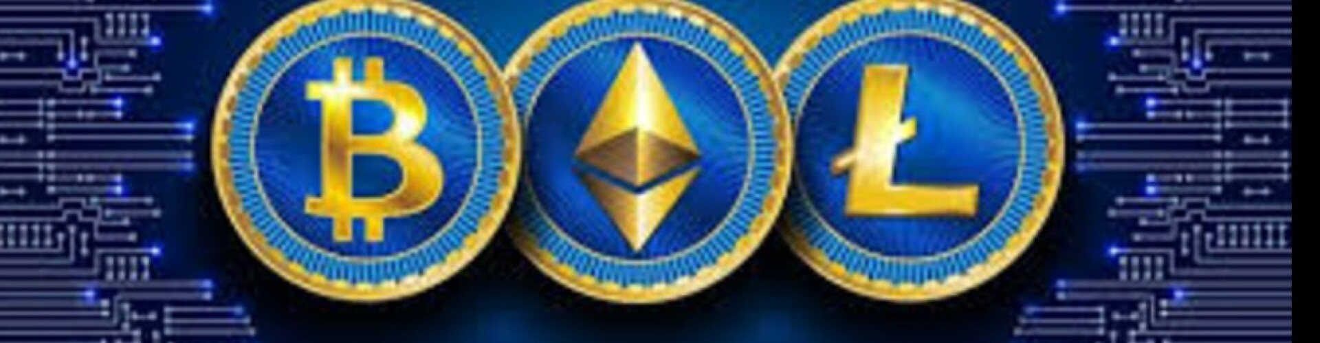 CryptoHustles