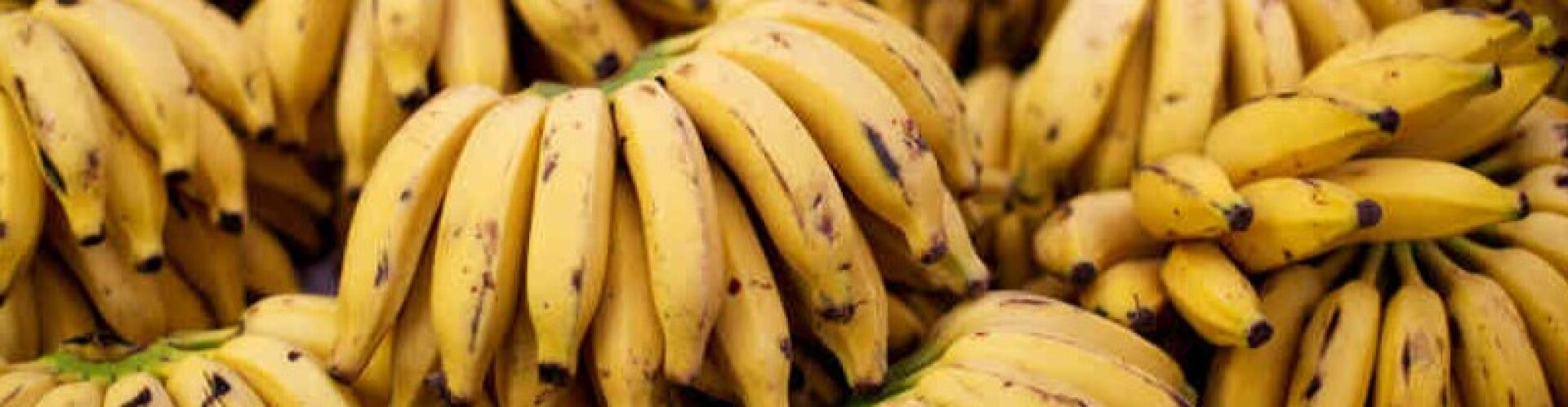 bananos