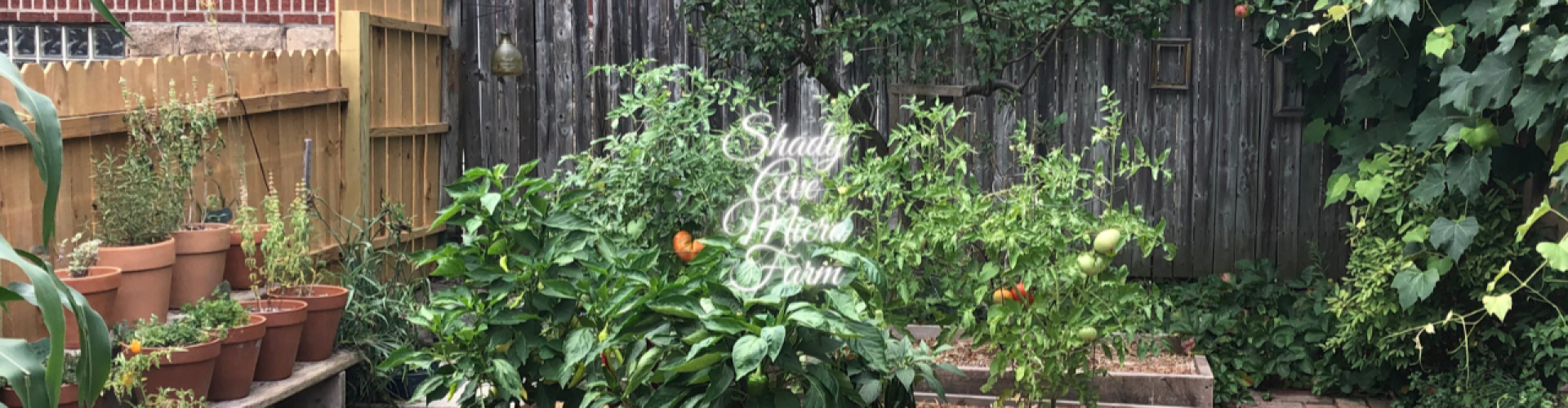 Shady Ave Micro Farm