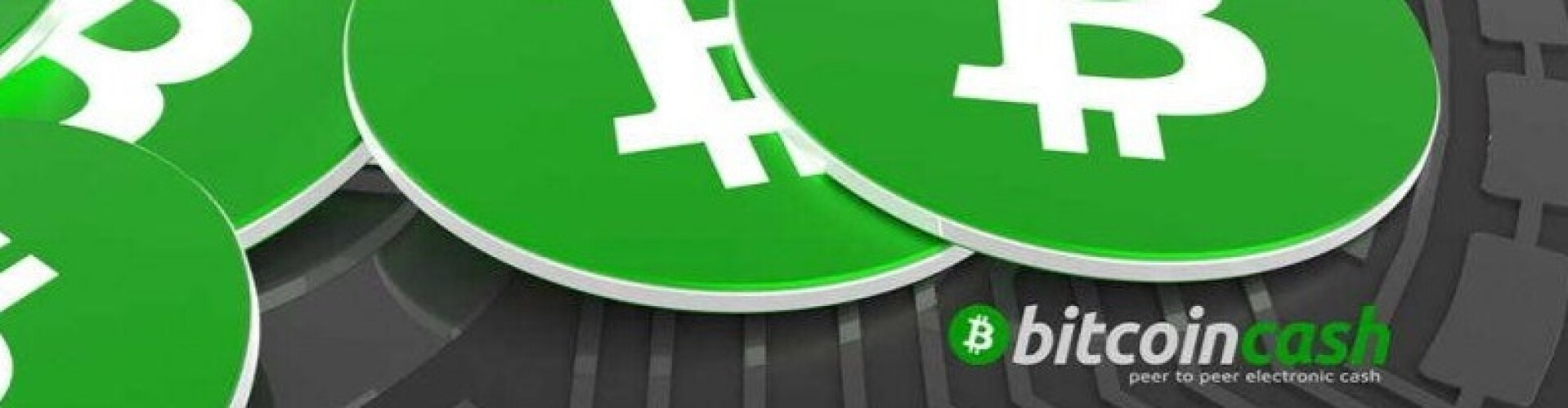 Bitcoin Cash BCH