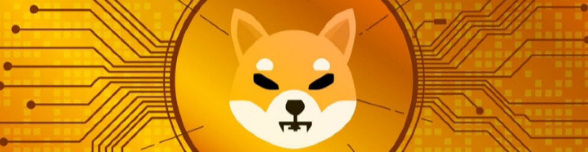 Shiba Inu coin in 2022