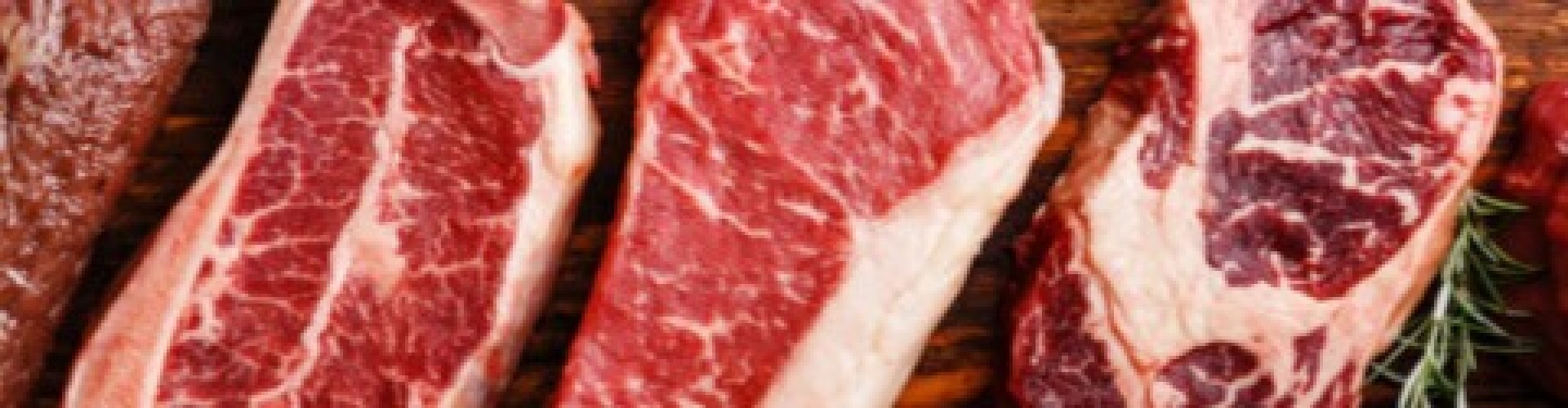 Carnivore & LCHF Lifestyle