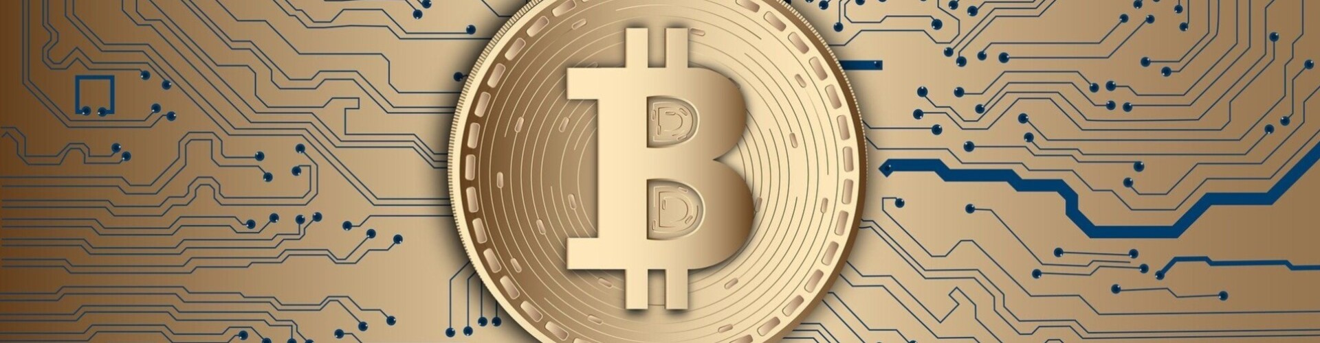 Blockchain Ninja