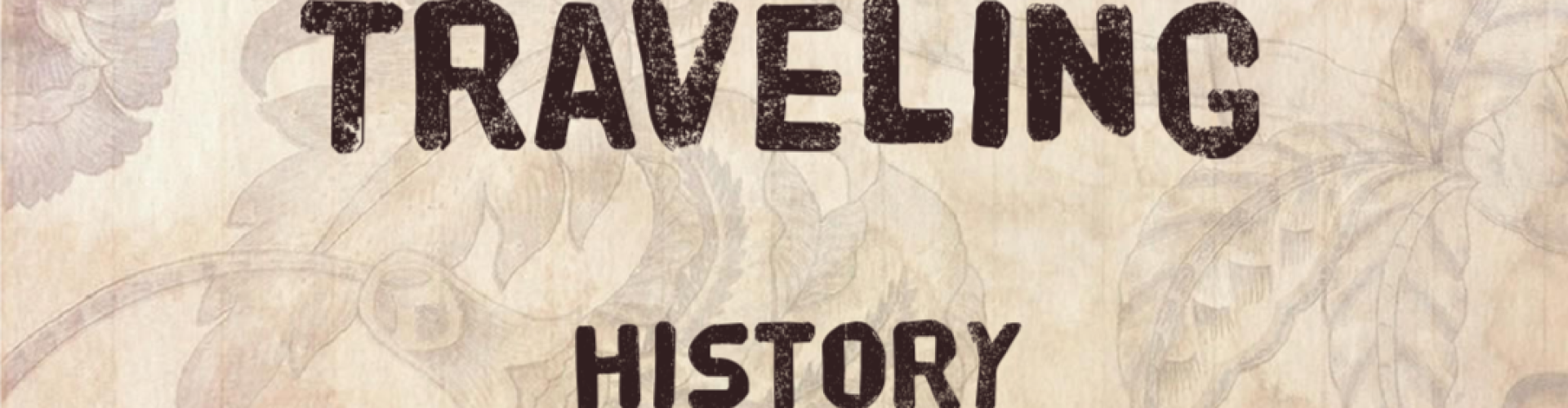 Travel opinion