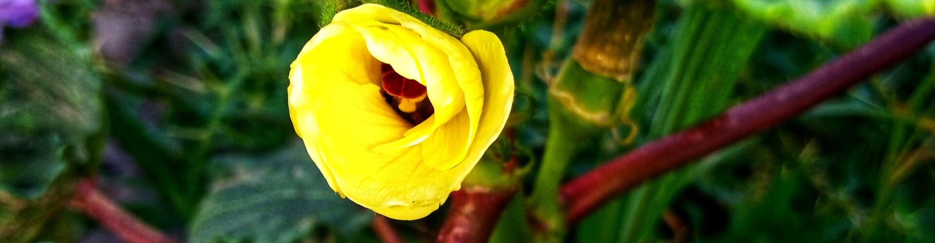 Nature is God gifted