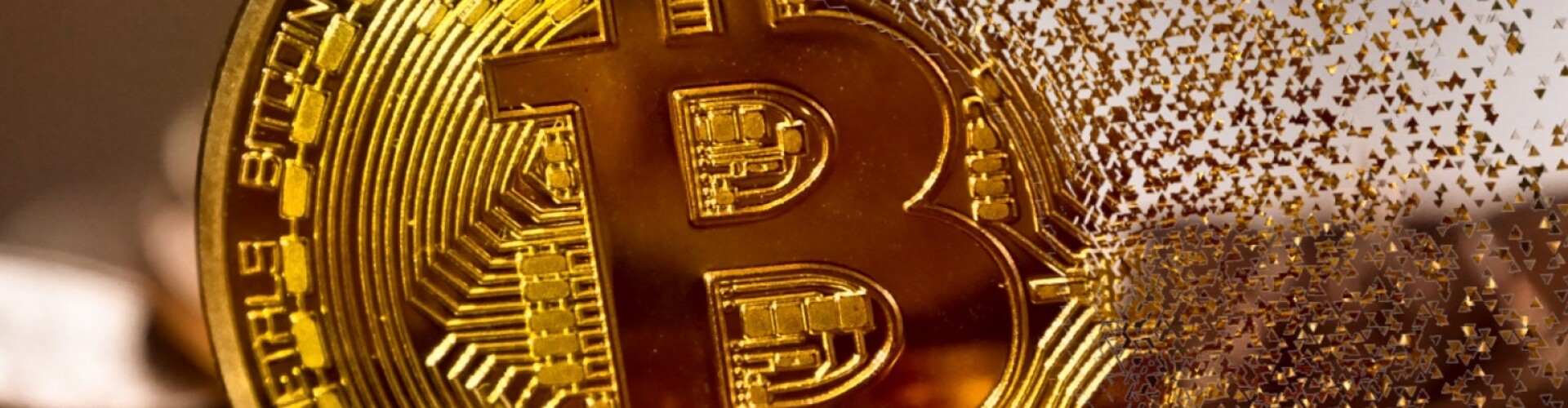 Coins Coins Coins