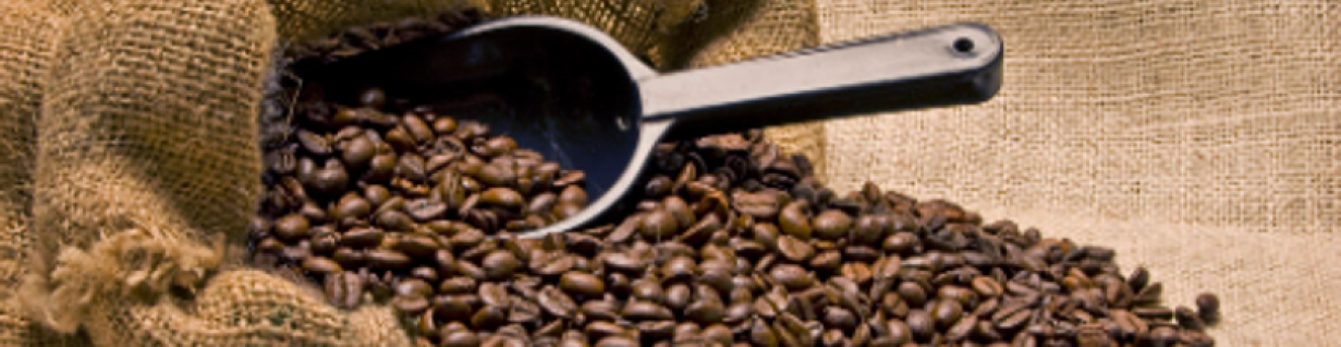 Morning JAVA