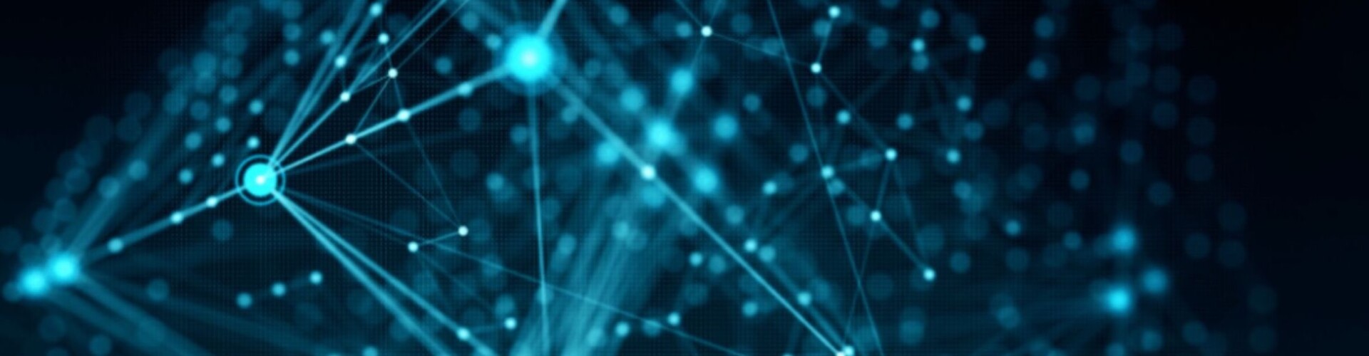Wallets in Crypto
