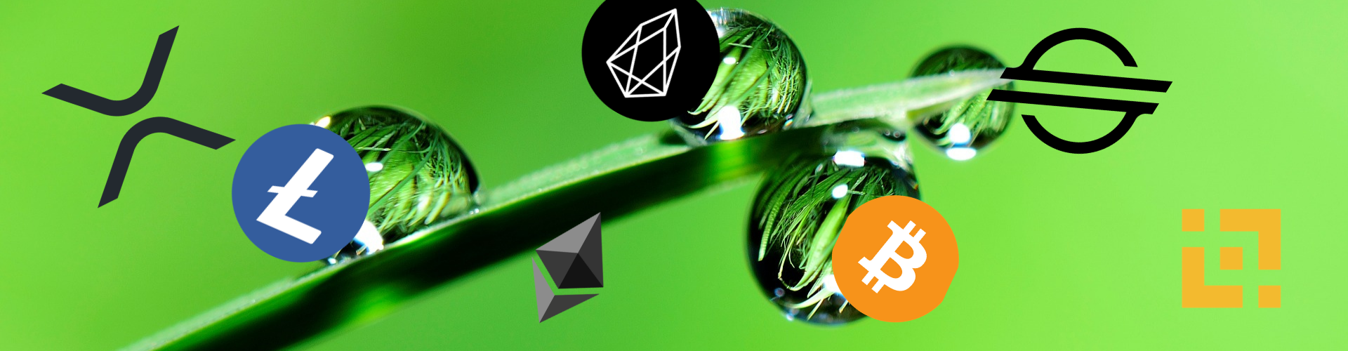 My cryptocurrency adventure