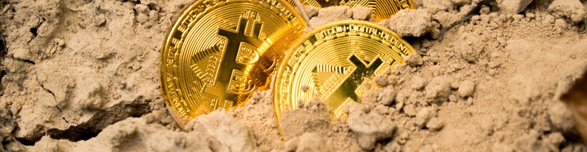 Crypto Deep Dives