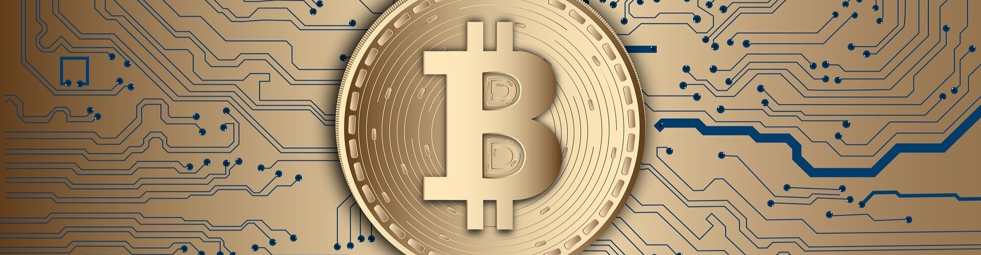 Ewok Cryptocurrency