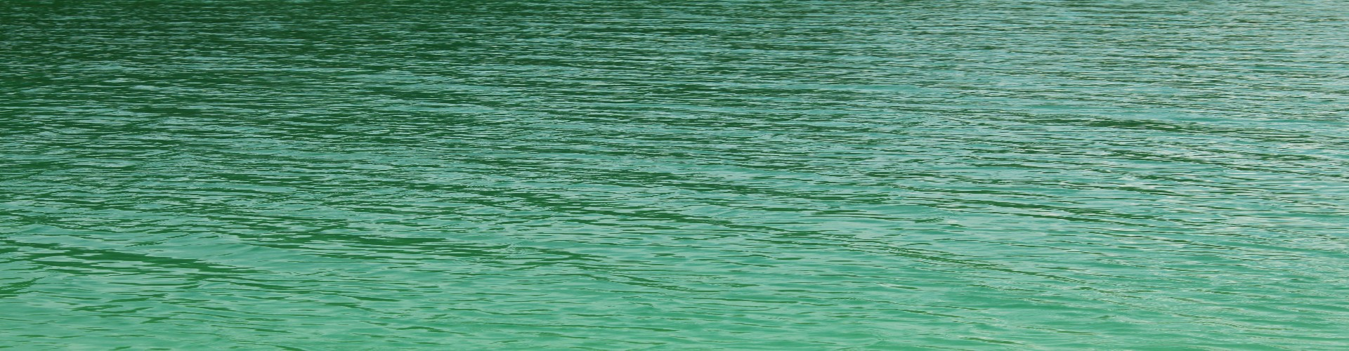 Digital snapshots