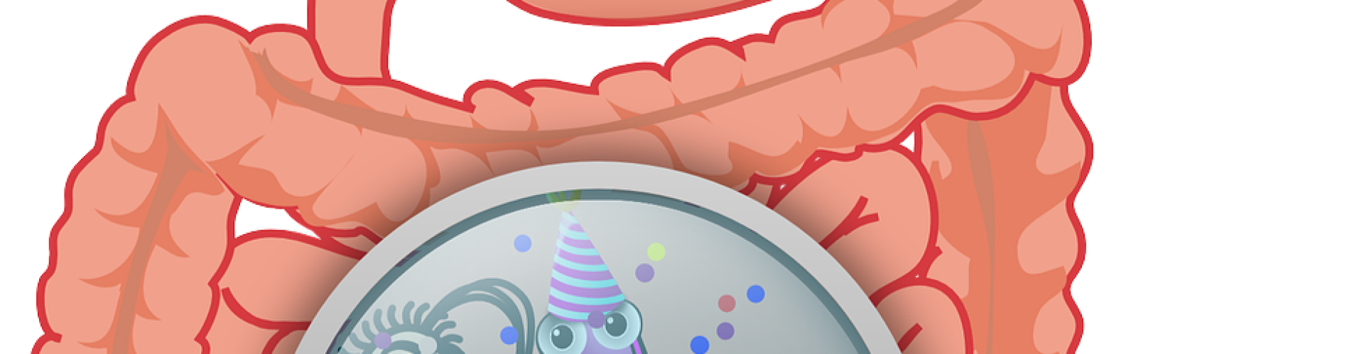 Organs and how they work