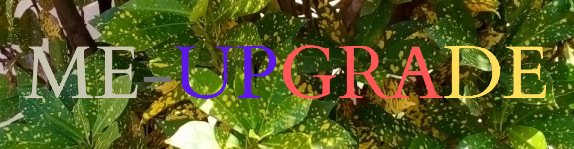 me-upgrade