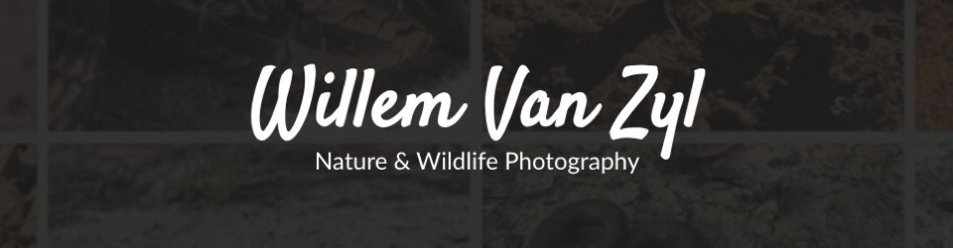 WVZ Nature & Wildlife Photography