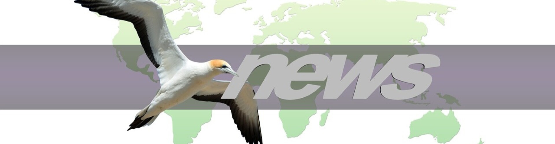 News of interest