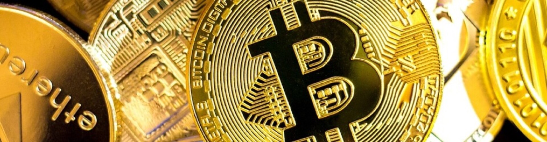 A Dive Into Cryptocurrency For Beginners