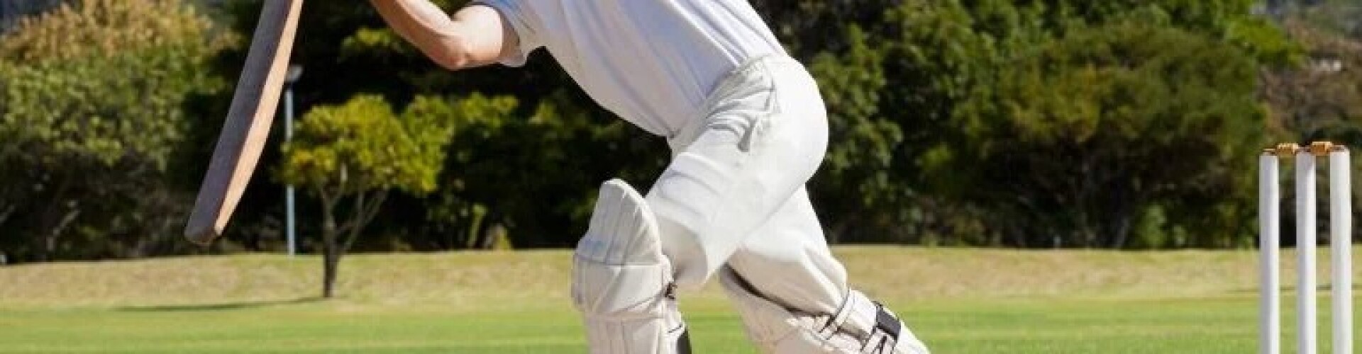 All Things Cricket