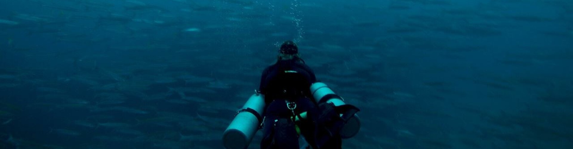 Scuba Diving