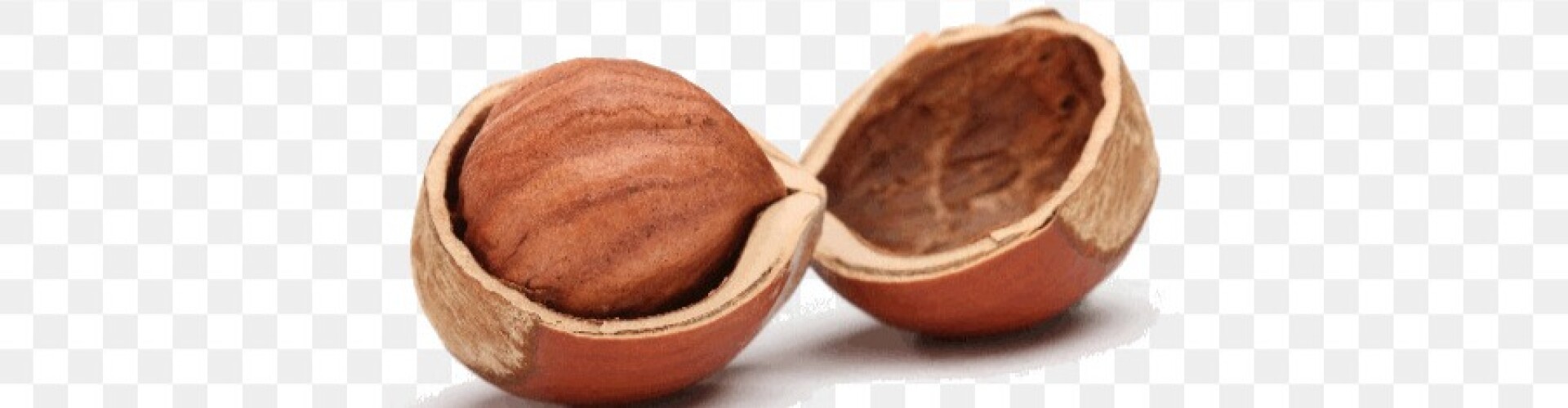 Nutshell