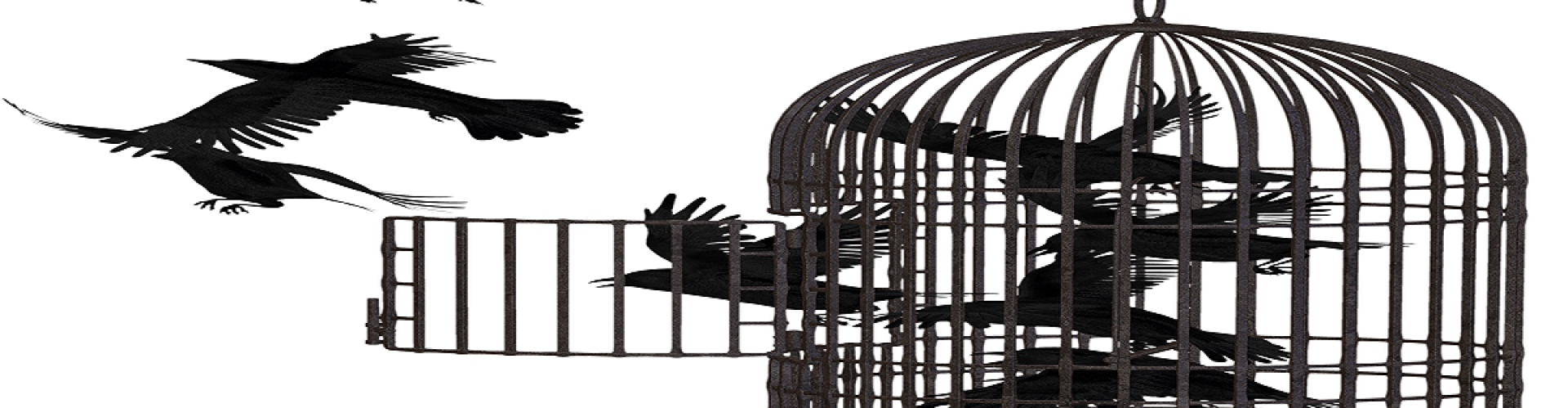 Unchaining freedom