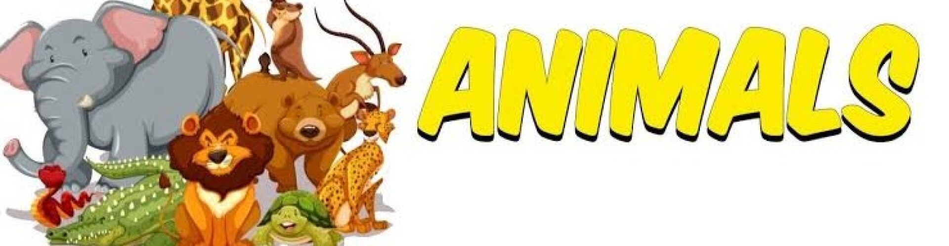 Animalss
