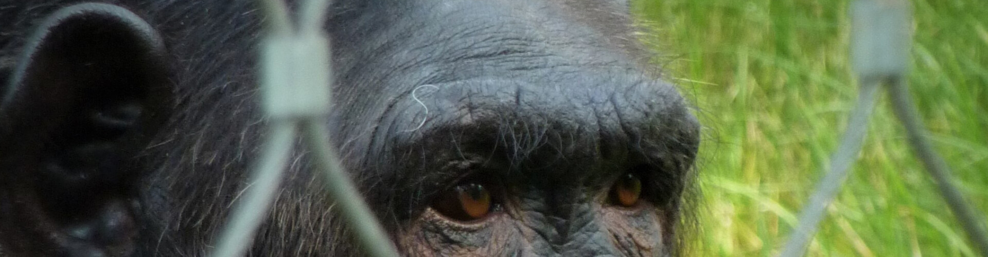 Cypto use case zoo