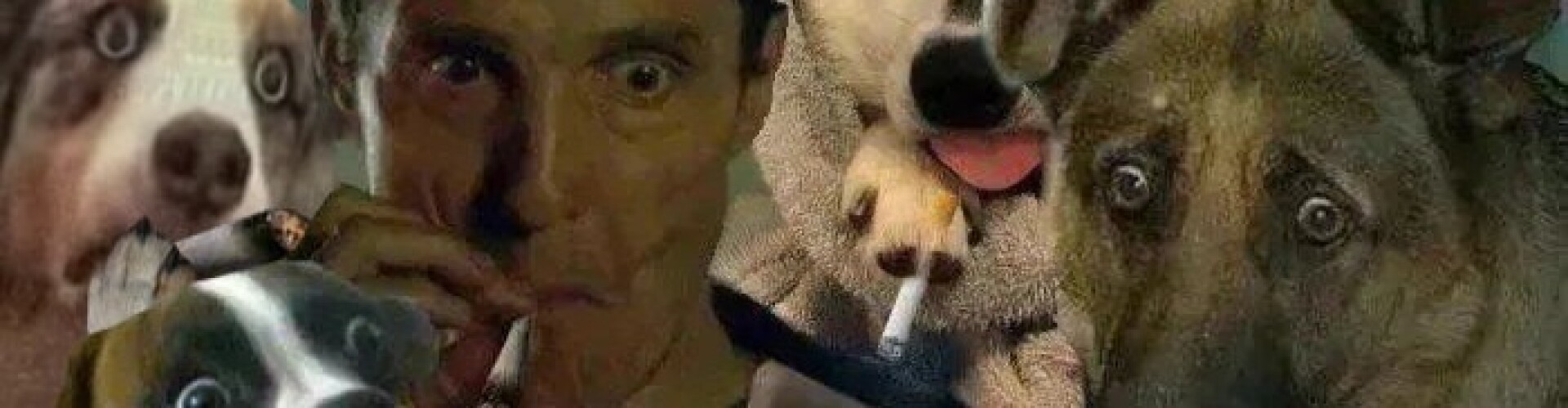 zev