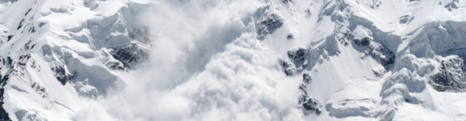 Avalanche Defi