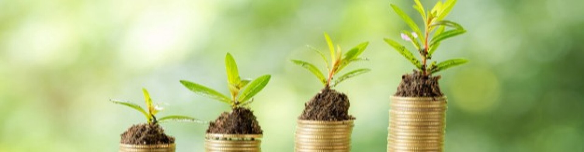 Passive Income Junkie