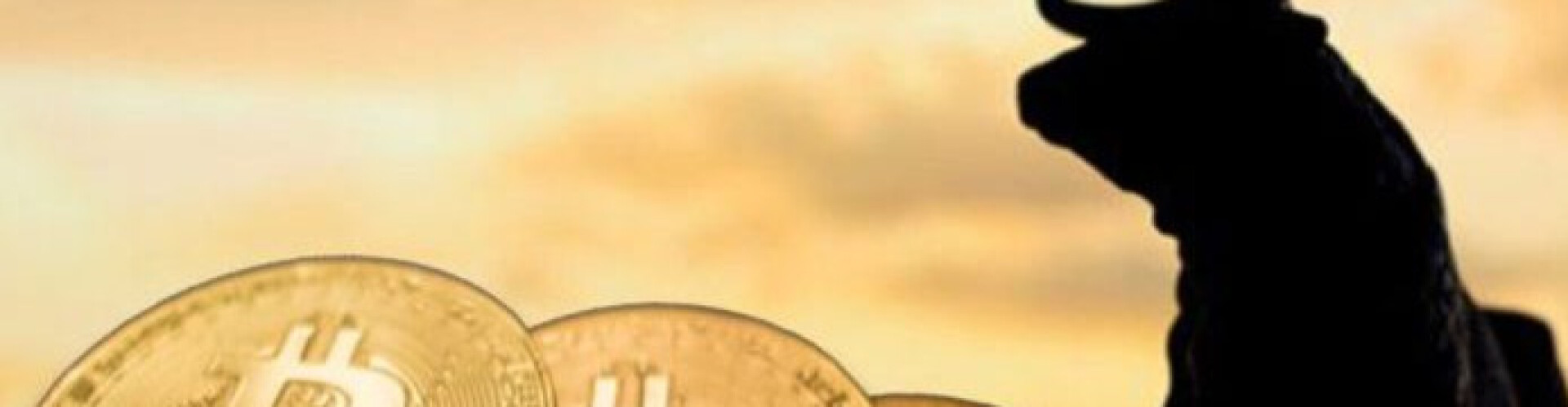 Bullish Bitcoin News