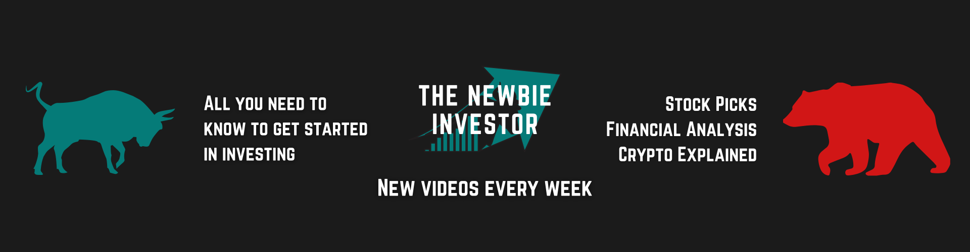 The Newbie Investor