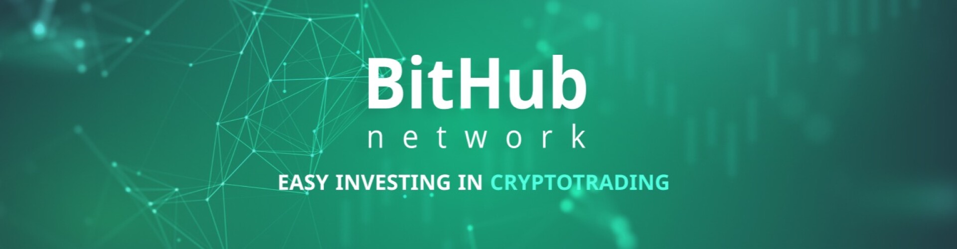 Bithub Network