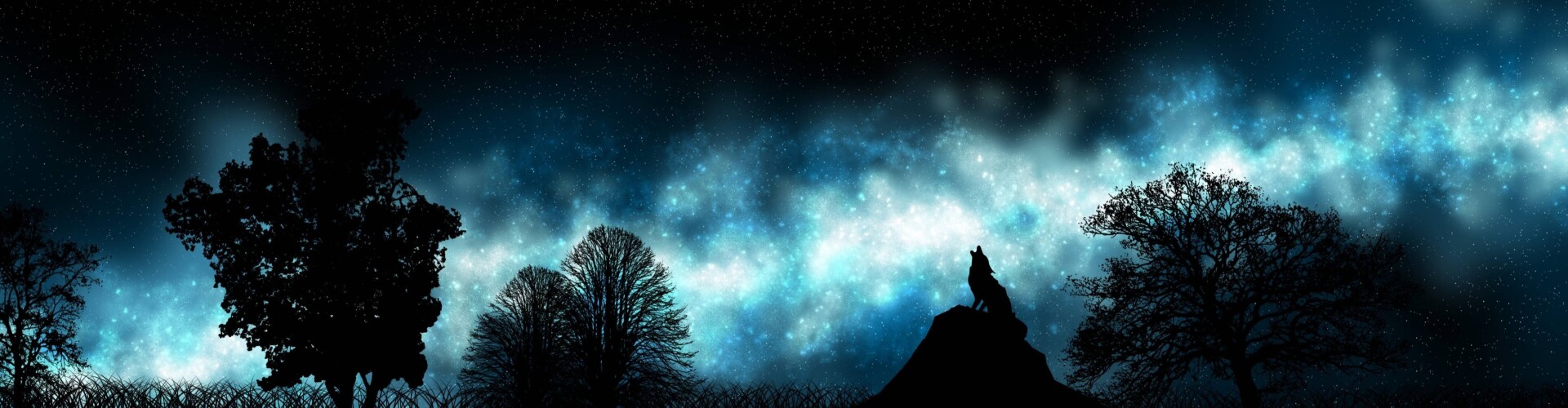 My weird dreams