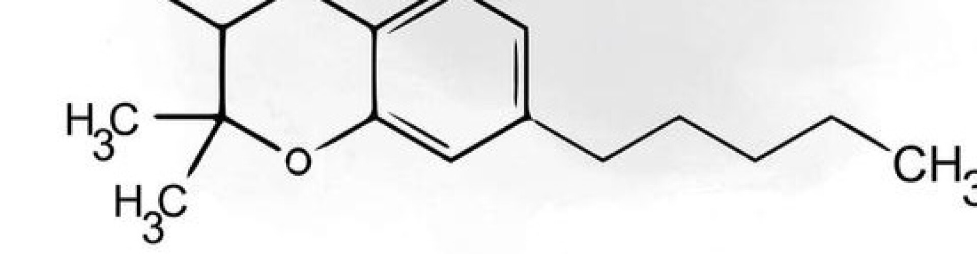 How To Reveg Cannabis