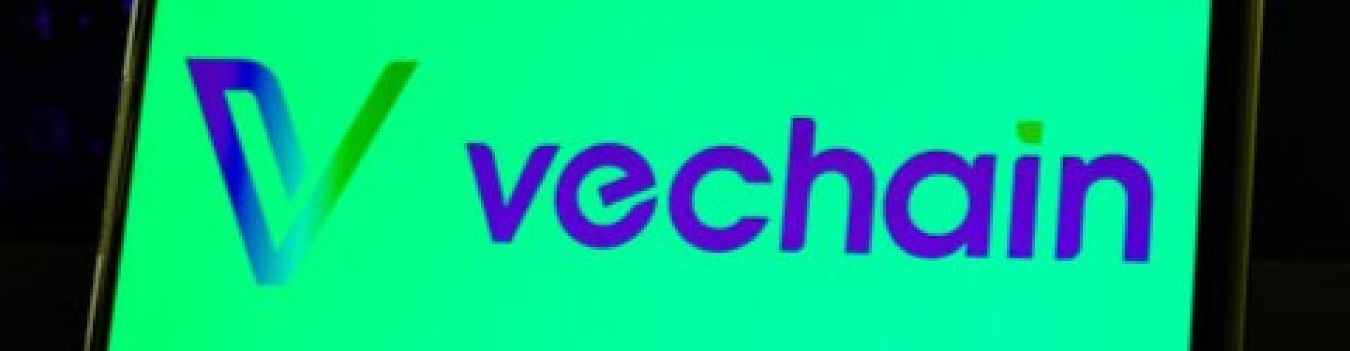 Worth of $vechain(vet) in 2026?