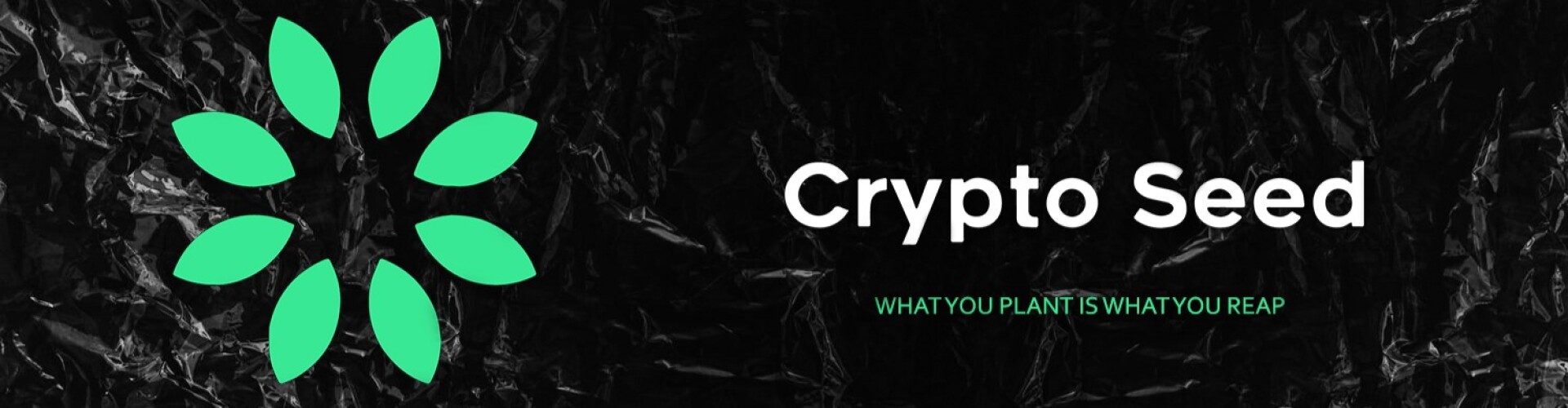 Crypto Seed