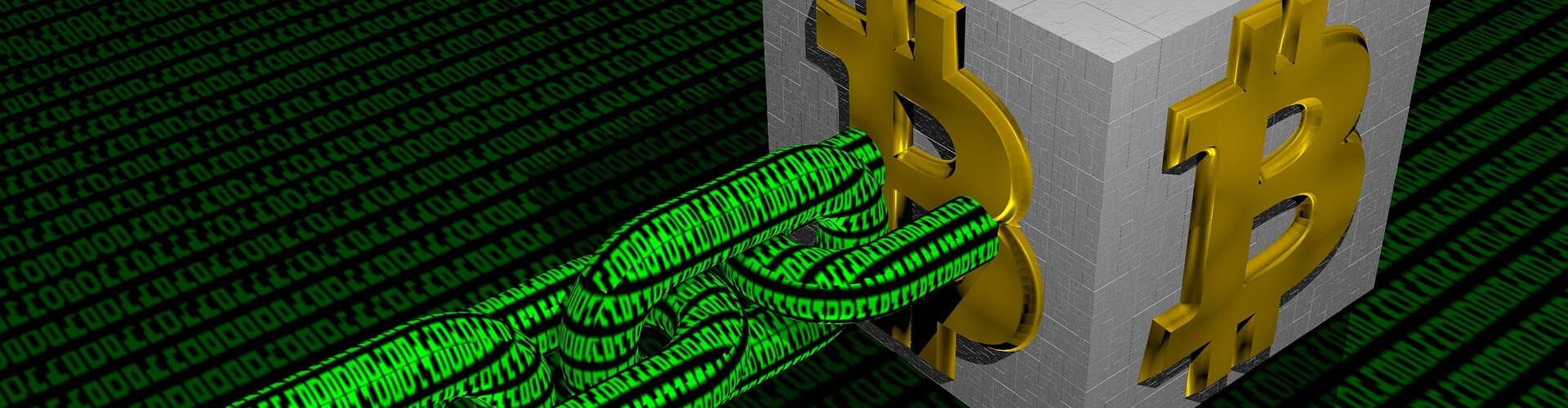 Cryptoworld by The Crazy Dude