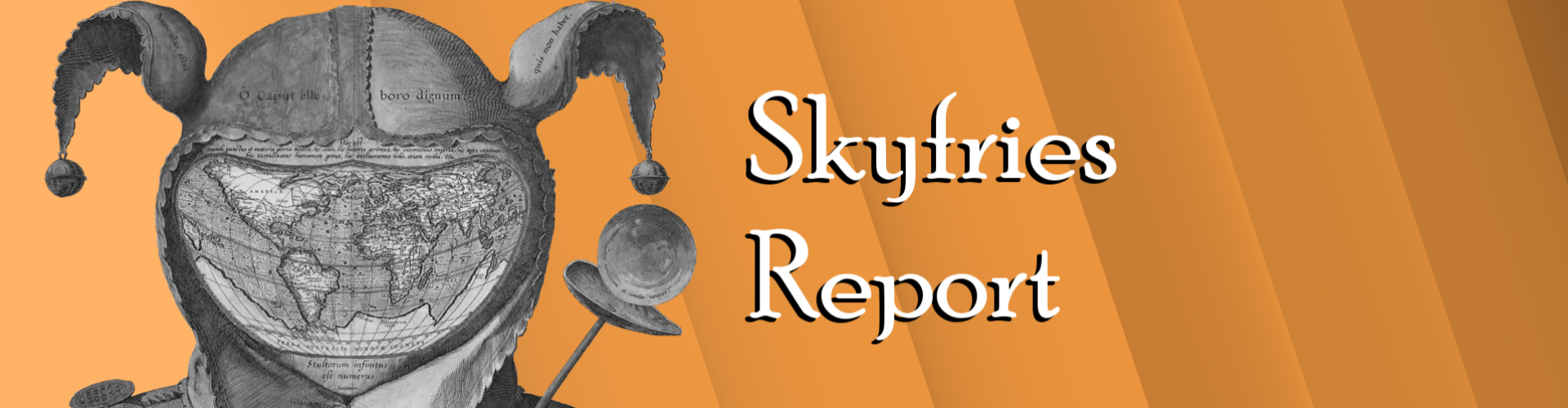 Skyfries Report