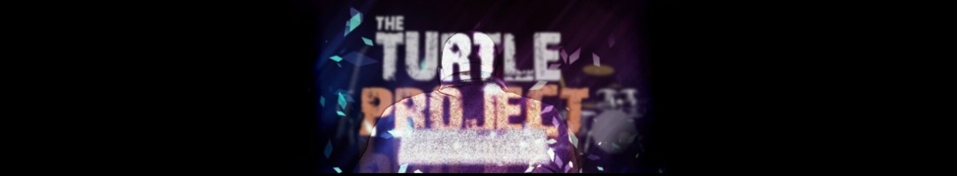 The Turtle Project