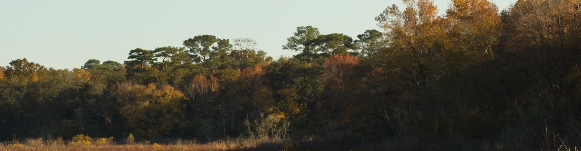 The Lonely Places
